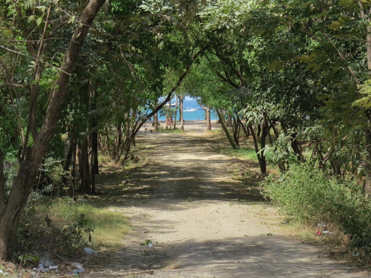 El Mono Loco Hotel Tamarindo Bagian luar foto