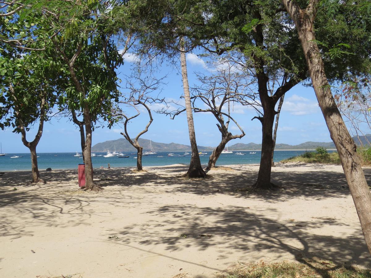 El Mono Loco Hotel Tamarindo Bagian luar foto