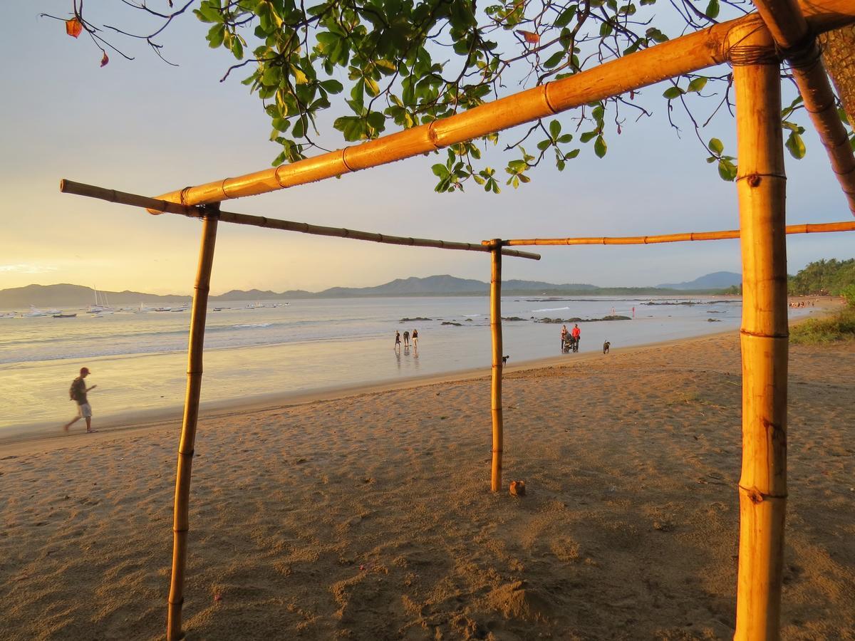 El Mono Loco Hotel Tamarindo Bagian luar foto